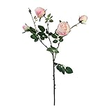 ローズスプレー×5 FXFR0018PNK