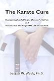 The Karate Cure (English Edition)
