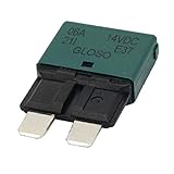 P Prettyia 回路ブレーカヒューズ　自動リセット　互換性　点火保護　高品質　ATCタイプ　4種選ぶ　耐久性　交換 - 緑ー6A　