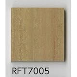 東リフロアタイル RFT-7005 リフライブ 450角