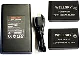 WELLSKY LP-E17 互換バッテリー 2点 + LC-E17 デュアル USB Type-C 互換充電器 バッテリーチャージャー 1点 [3点セット] キヤノン イオス PowerShot V1 EOS M3 EOS M5 EOS RP EOS M6 EOS M6 II EOS R10 EOS R8 EOS R50 EOS R100 EOS R50 V
