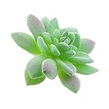 Homyl 全１６タイプ選ぶ　かわいい　プラスチック多肉植物　造花　人工植物　DIY　飾り付け　インテリア　生活を彩る　 - タイプ7