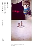 猫には嫌なところがまったくない