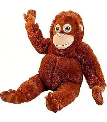 Amazon.co.jp: 貴重オランウータン 野性の赤ちゃん 王国 M ナカジマ