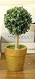 【Abz Company】 フェイク グリーン ボール 型 M サイズ トピアリー ボール お世話のいらない 癒しの グリーン 観葉植物 光触媒 インテリア 人工観葉植物 ボール型 M