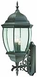 Thomas Lighting SL923263 Covington Outdoor Wall Lantern, Painted Bronze [並行輸入品]