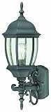 Thomas Lighting SL92257 Covington Outdoor Wall Lantern, Black [並行輸入品]