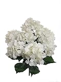 人工シルク22 " Hydrangea Bush w / 7モップヘッド – 複数の色 ホワイト NOR-S5064-WH