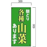 安全・サイン8 山菜販売山菜直売中 看板 (2) 600×300mm