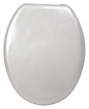 Raven 7 Toilet Seat with Hinges Fittings, White or Silver. silver by Sabichi