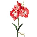 POTOJP 造花 手作り 造花 ブーケ 人工胡蝶蘭 枯れないお花 本物みたい 工芸 高級 贈り 壁掛け 結婚式 誕生会 二次会 お祝い 花束プレゼント インテリア 华道 (レッド)