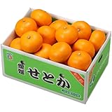 みかん せとか 風のいたずら 訳あり 大きさおまかせ 5kg 愛媛県 中島産 ミカン 蜜柑 ギフト 贈り物
