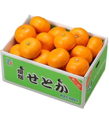 Amazon.co.jp: 愛媛県産 柑橘の王様「せとか」 赤秀品 2Lサイズ 12個入