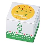 Euvo Design Potted Plant ストロベリーキャンドル PP10692