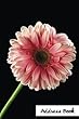 Address Book.: (Flower Edition Vol. C56)Glossy and Soft Cover, Large Print, Font, 6 X 9 for Contacts, Addresses, Phone Numbers, Emails, Birthday and More.