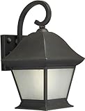 Forte Lighting 10000-01-14 Exterior Wall Light with Frosted Seeded Glass Shades Royal Bronze [並行輸入品]