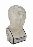 ホワイト中サイズPhrenologyヘッド磁器Coin Bank