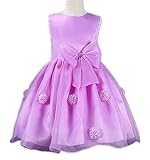 CHD ベビー キッズ プリンセス ドレス 花柄 子供 ワンピース フォーマルドレス 結婚式 発表会 入園式 出産祝い ブルー チュール 花嫁介添人 赤ちゃん お宮参り ノースリーブ ドレス (70(