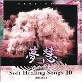 �\�t�g�E�q�[�����O�E�\���O10-�R��̇U-