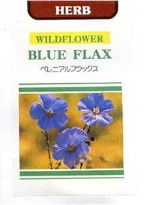 Amazon Co Jp 輸入種子 ペレニアルフラックス ブルー 藤田種子のタネ ホーム キッチン