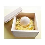 [萌舟] へその緒ケース　たまご型　【　うみたてたまご　】