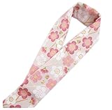 半衿 半襟 和柄 振袖 成人式 卒業式 袴 着物 ベージュ地梅枝