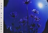 月光浴 青い星