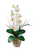 High Quality 1016-CR Phalaenopsis Silk Orchid Flower Arrangement, Cream