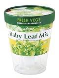 ノーブランド品 フレッシュベジ FRESH VEGE ベビーリーフミックス