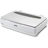 エプソン フラットベッドスキャナー DS-G30000 A3プラス カラー 2400dpi