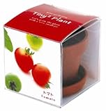 タイニィタイニィプラント プチトマト