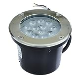 LEDwholesalers Low Voltage In-Ground LED Well Light with Brushed Stainless Steel Trim 12V AC/DC, 14W