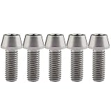 Ruifu M8x15 20 25 30 35 40 45 50 mm P1.25 チタン合金コニカルヘッド六角穴付ボルト 5個入 (M8x20mm, チタン)