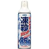 フマキラー:フマキラー 凍殺ジェット300ml 429480 型式:429480