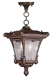 Livex Lighting 7985-58 Millstone 2 Light Outdoor Chain Hang, Imperial Bronze [並行輸入品]