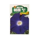 超巨大輪朝顔 (暁の海) (928)