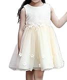Candykids パーティー ピアノ 女の子 フォーマルドレス 結婚式 入園式 発表会 演奏会 ワンピース キッズドレス プリンセスドレス フォーマル Princess Dress (160cm, 