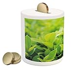 植物Piggy Bank by Ambesonne、Lush Green Leaves With Sun Open Air Sunny Days Spring Time Happy Vibes環境、印