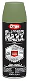 Krylon K08996000 SUPERMAXX Spray Paint, Satin Fern New [並行輸入品]