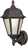 Forte Lighting 17016-01-28 Exterior Wall Light with Frosted Seeded Glass Shades, Painted Rust [並行輸入品