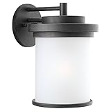 Sea Gull Lighting 88662-185 Outdoor Sconce with Satin Etched?Glass Shades, Forged Iron Finish [並行輸入品