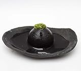 苔盆栽 モスモス モスコトリ 黒 受け皿（黒色）セット