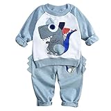 AmazingDeal 子供服 女の子 男の子 長袖 春秋 冬服 男女兼用上装下装2点 綿製品 恐竜柄 パンツ 衣装セット (100)