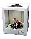 プラッツ CATA-1 みにちゅアニマル メイ