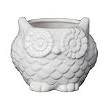 Owlプランター CTP-162