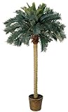 Nearly Natural 5107 Sago Palm Silk Tree, 6-Feet, Green by Nearly Natural