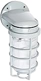 RAB Lighting VBR100DGS/F13 Vaporproof Glass Globe Cast Guard Compact Fluorescent Fixtures with Wall 
