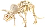 Elenco Dig It! Triceratops Science Kit [並行輸入品]