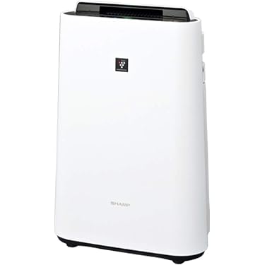【花粉症の方必見】 コールドプラズマ空気清浄機 Amazon.co.jp 売れ筋ランキング: undefined の中で最も人気のある商品です