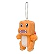 ポケモンセンターオリジナル マスコット ポケモンクエスト ヒトカゲ